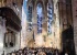 Miquel Barceló a la Catedral: Foto 12
