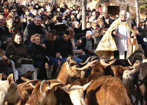 Fiestas de Sant Antoni