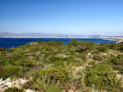 Natural Area of Cap Enderrocat
