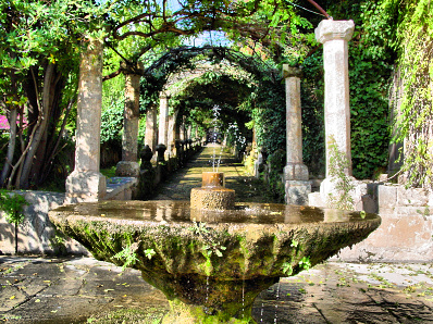 Gardens of Alfabia