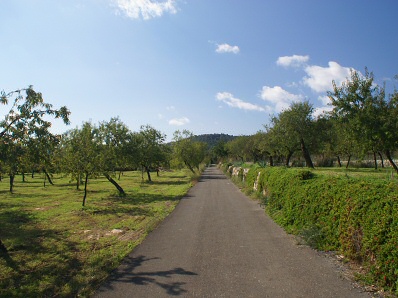 Road of Morella