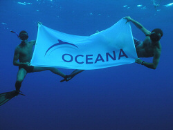 The Oceana catamaran finishes its transoceanic expedition