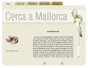 The mushrooms of Mallorca