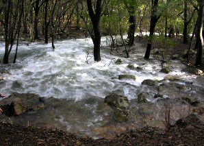 Ses Fonts Ufanes springs are flowing again
