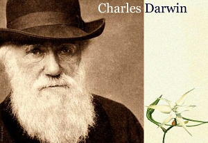 Any Darwin