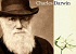 Año Darwin